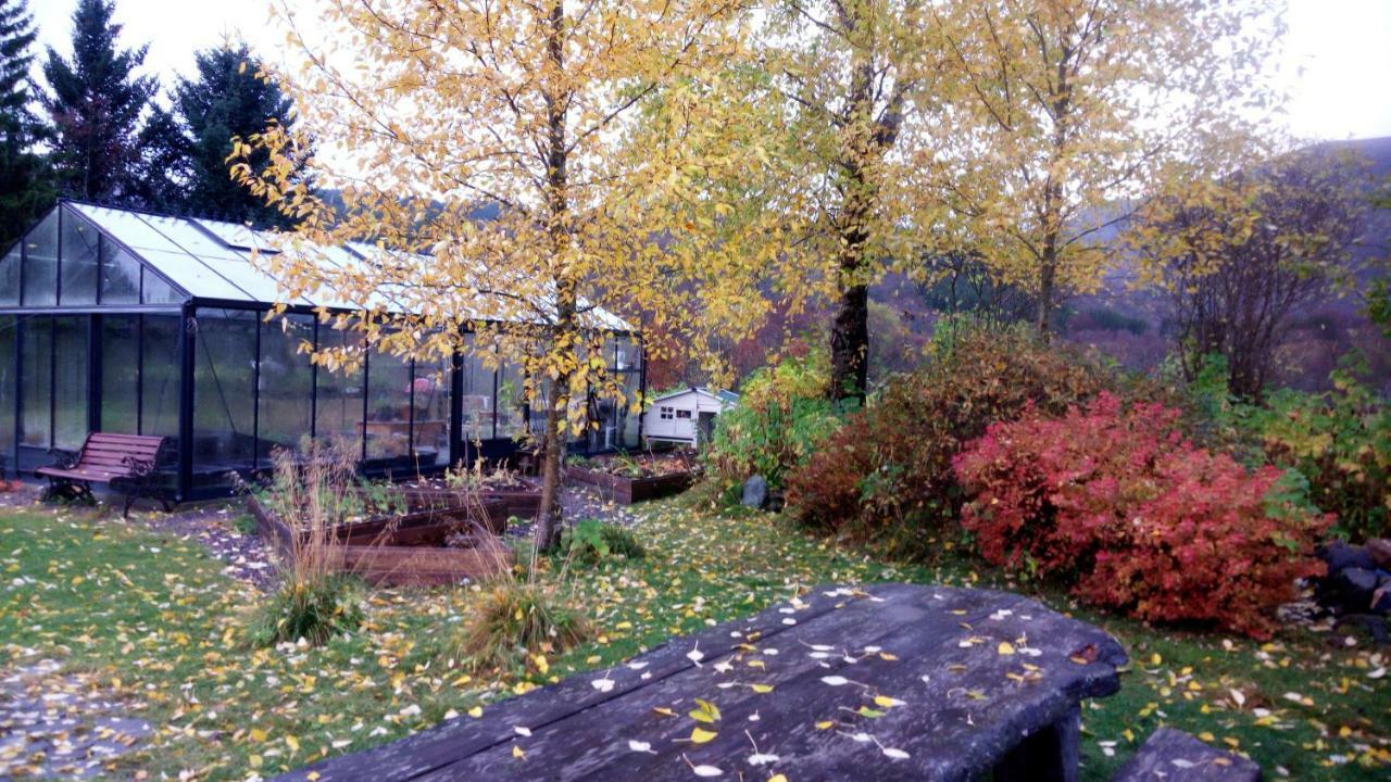 Art Studio Sortland Exteriér fotografie